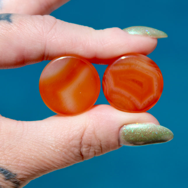 Carnelian Agate Orange Double Flare Plugs