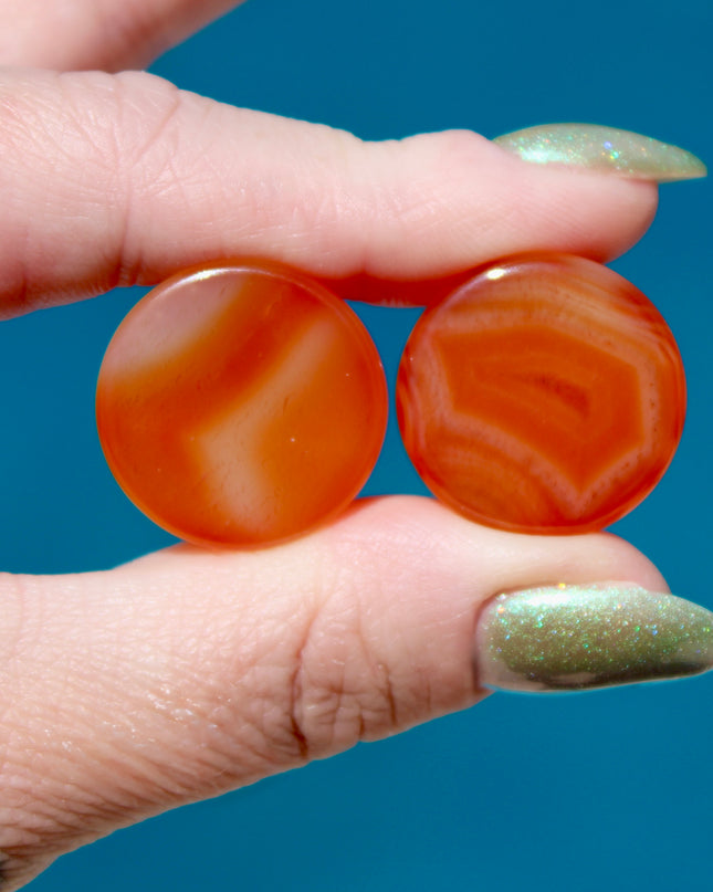 Carnelian Agate Orange Double Flare Plugs