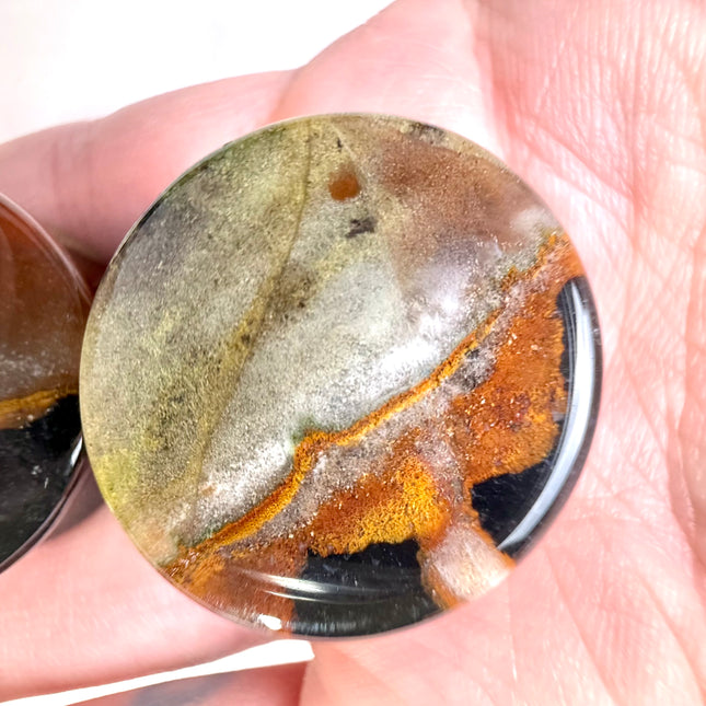 Polychrome Desert Jasper Double Flare Jewelry for Stretched Ears