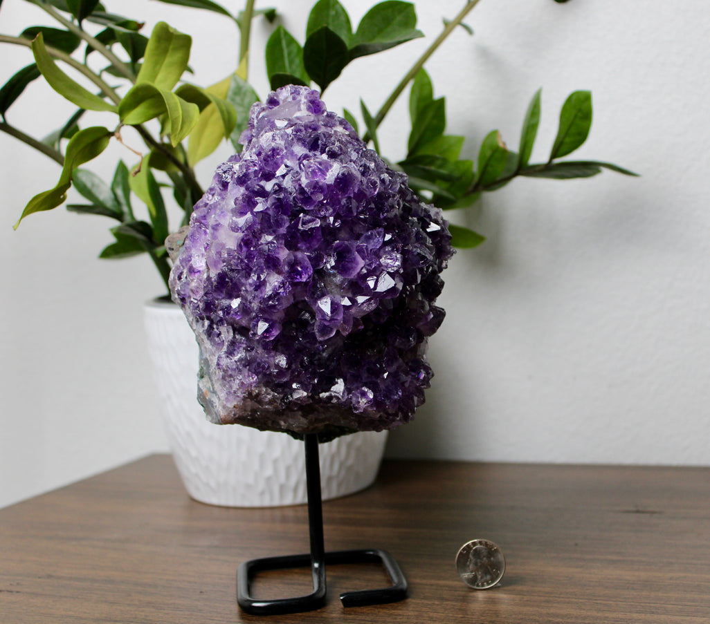 A dazzling Genuine Grade A Amethyst Druzy Geode rests on a natural surface, shimmering with tightly clustered crystal points in deep, vibrant purple. The interior of the geode sparkles with fine druzy crystals, catching the light like sugar-coated gemstones. This high-grade piece showcases rich violet hues, excellent clarity, and a dense crystal formation—hallmarks of premium quality amethyst. The outer shell maintains its raw, earthy texture, creating a striking contrast to the radiant interior. Perfect fo