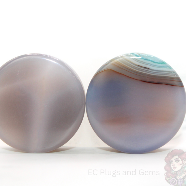 Two agate ear gauges plugs with a visible ec plugs logo on a white background