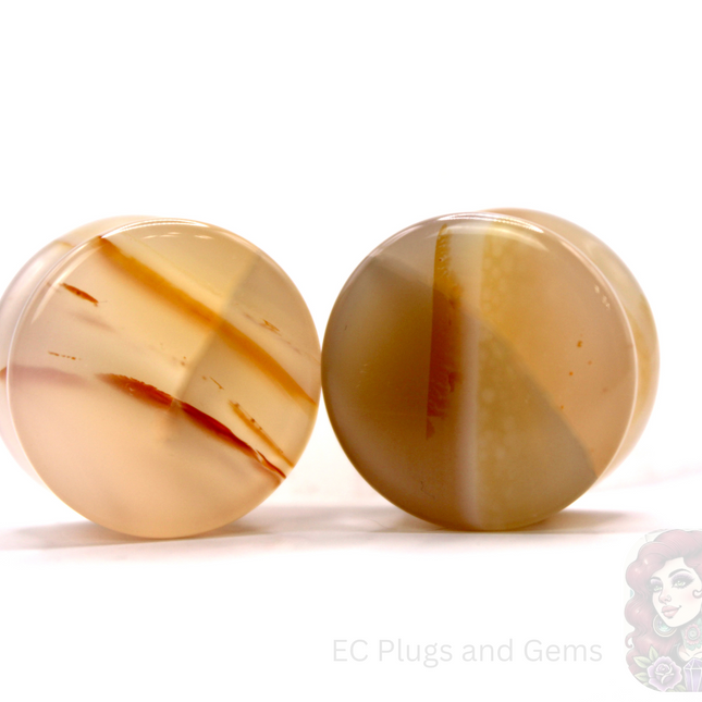 Two agate ear gauges plugs with a visible ec plugs logo on a white background