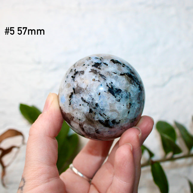 Moonstone Black and White Iridescent Flashy Stone Sphere You Pick Your Sphere!