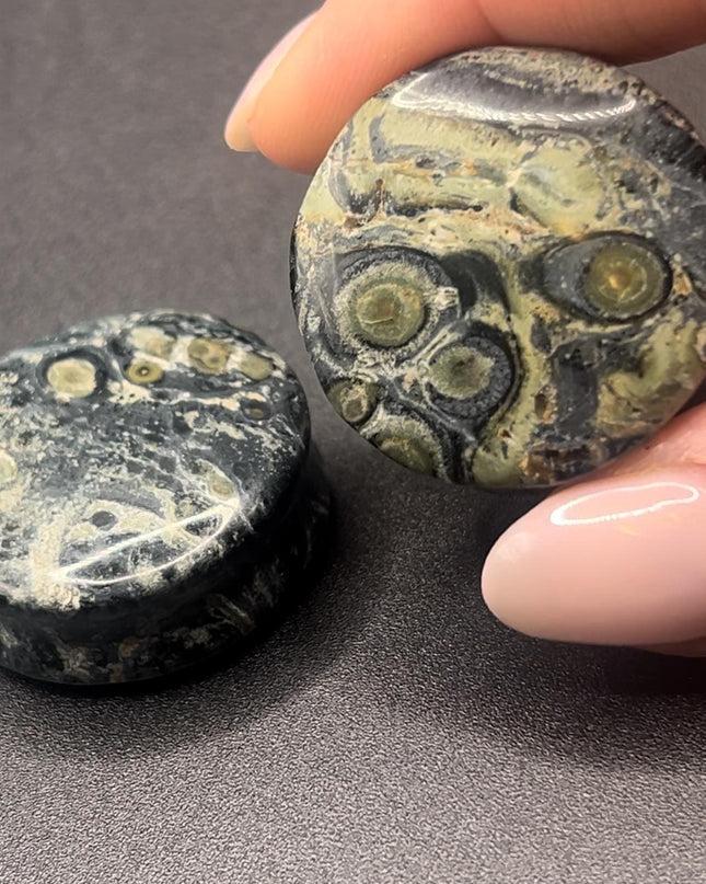 Green Eye Jasper Plugs - Gauges