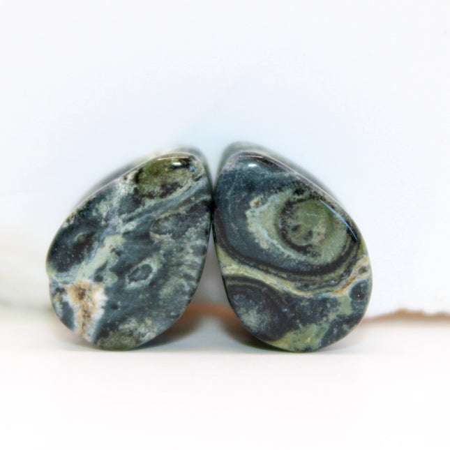 A captivating pair of Green Eye Jasper Teardrop Plugs rests gracefully on a natural backdrop. Each plug is carved into a smooth teardrop shape, showcasing earthy green tones swirled with intricate patterns of dark forest, moss, and soft olive hues. Subtle circular “eye” formations appear in the stone’s natural marbling, giving each piece a mysterious and organic feel. The polished surface enhances the depth and detail of the stone, while the teardrop shape offers a unique fit and bold silhouette.
