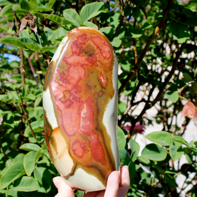 Natural Polychrome Jasper (Desert Jasper) swirls of earthy reds, creams, tans, and grays with stunning natural banding
