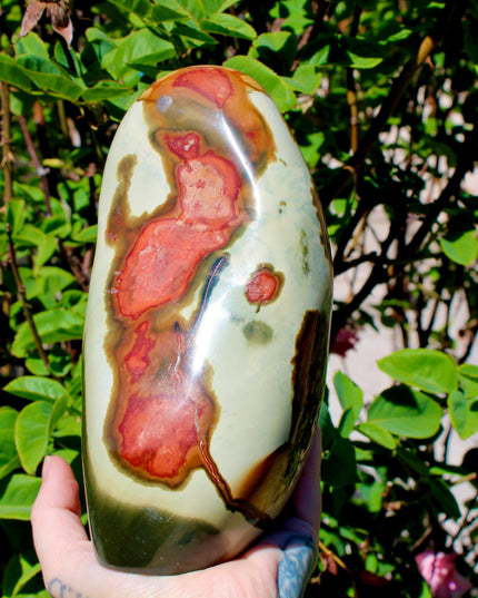 Natural Polychrome Jasper (Desert Jasper) swirls of earthy reds, creams, tans, and grays with stunning natural banding
