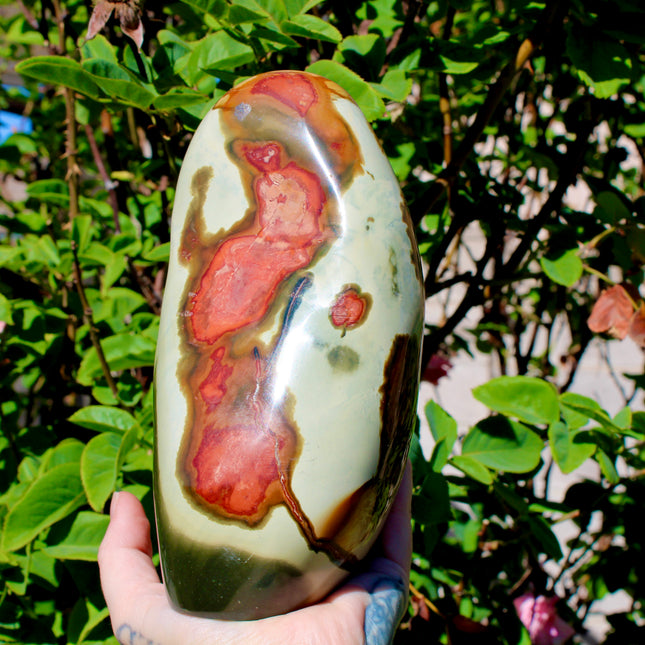 Natural Polychrome Jasper (Desert Jasper) swirls of earthy reds, creams, tans, and grays with stunning natural banding
