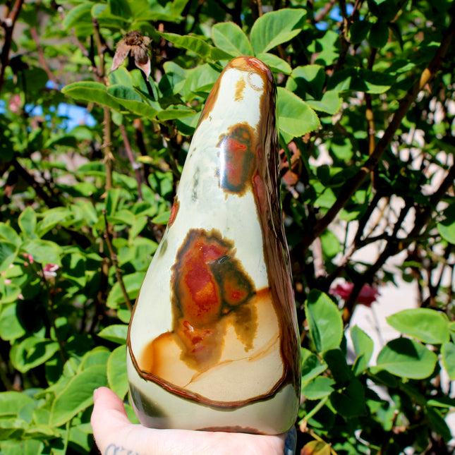 Natural Polychrome Jasper (Desert Jasper) swirls of earthy reds, creams, tans, and grays with stunning natural banding
