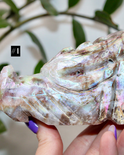Person holding a large, iridescent dragon skull crystal carving with a blurred green plant background