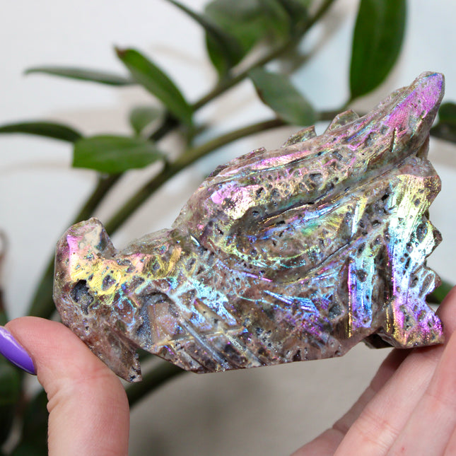 Person holding a large, iridescent dragon skull crystal carving with a blurred green plant background