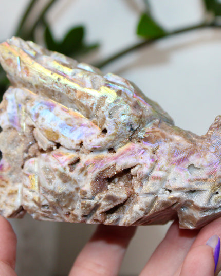 Person holding a large, iridescent dragon skull crystal carving with a blurred green plant background