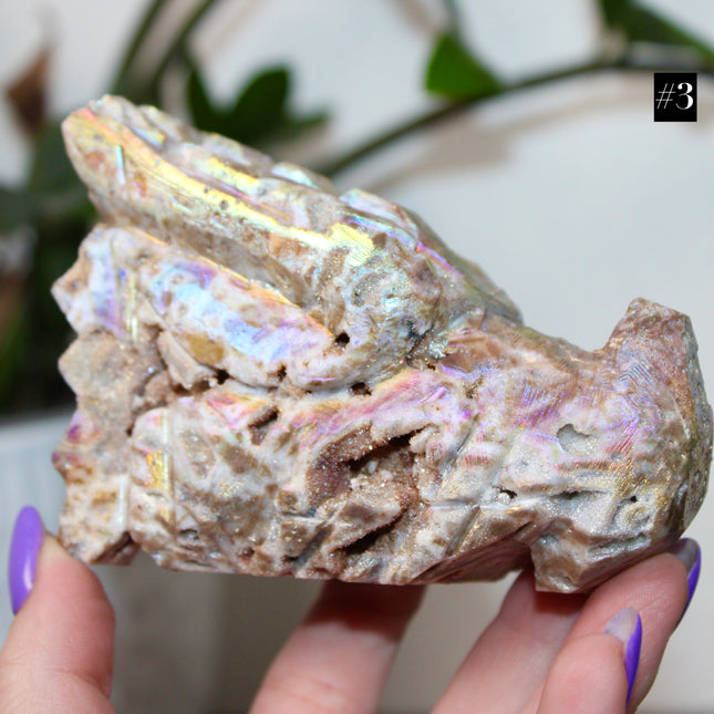 Person holding a large, iridescent dragon skull crystal carving with a blurred green plant background