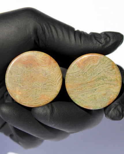 Wood Line Jasper Double Flared Plugs - Wood Appearance Stone Gauge PAIR