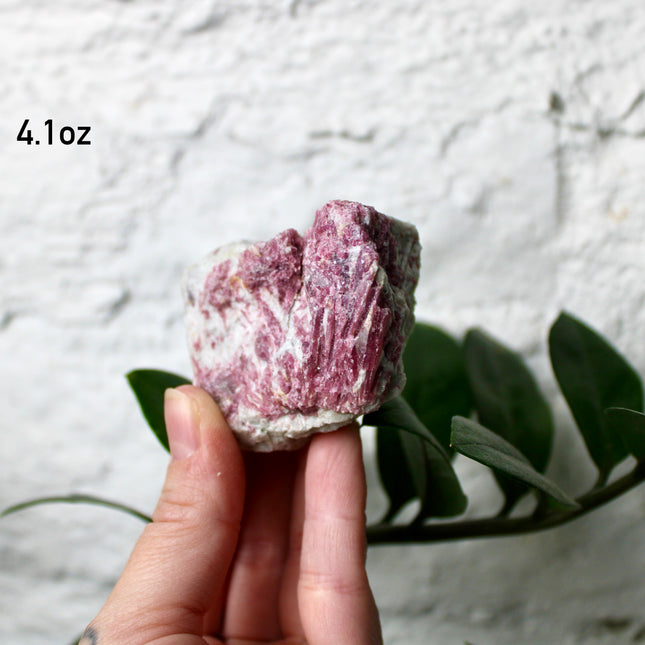 Pink Tourmaline Raw Specimens – Natural Rough Tourmaline Stones, You Pick Your Exact Piece