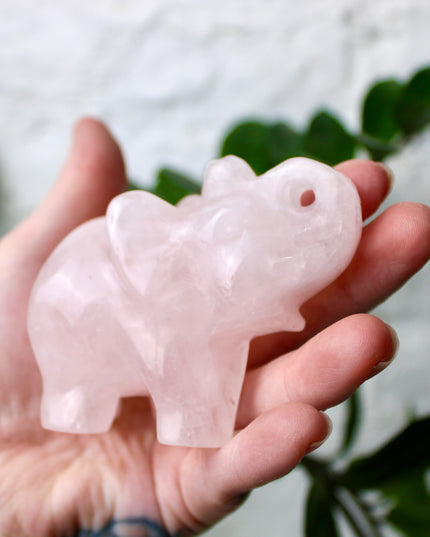 Crystal Elephant Carving – 3.5 Inch Polished Stone Elephant Figurine You Pick Your Exact Piece