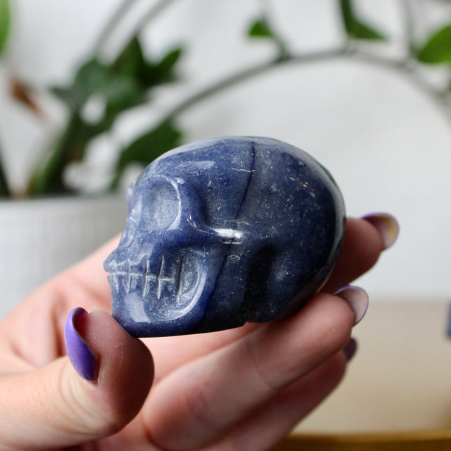 This 2.5" Blue Aventurine Skull is expertly hand-carved from natural gemstone, showcasing rich blue tones and intricate detailing. Each piece is polished to a smooth finish, making it a striking addition to any space. Due to the natural material, each skull is one of a kind, with unique patterns and shading.