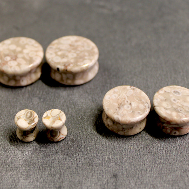 Lily Fossil Jasper Stone Double Flare Plugs Pair Natural Stone of Gauges