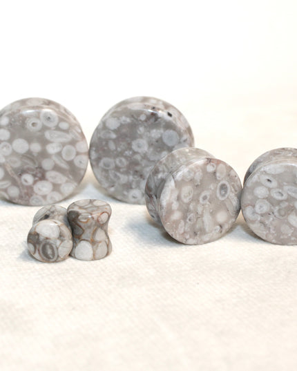 Lily Fossil Jasper Stone Double Flare Plugs Pair Natural Stone of Gauges