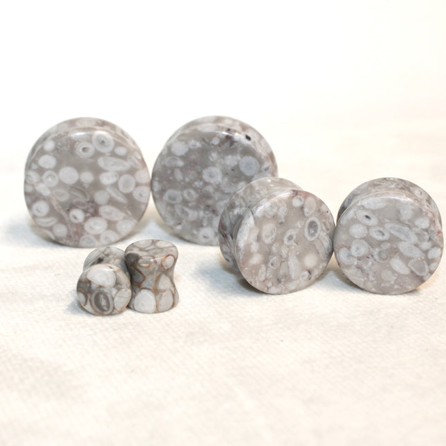 Lily Fossil Jasper Stone Double Flare Plugs Pair Natural Stone of Gauges
