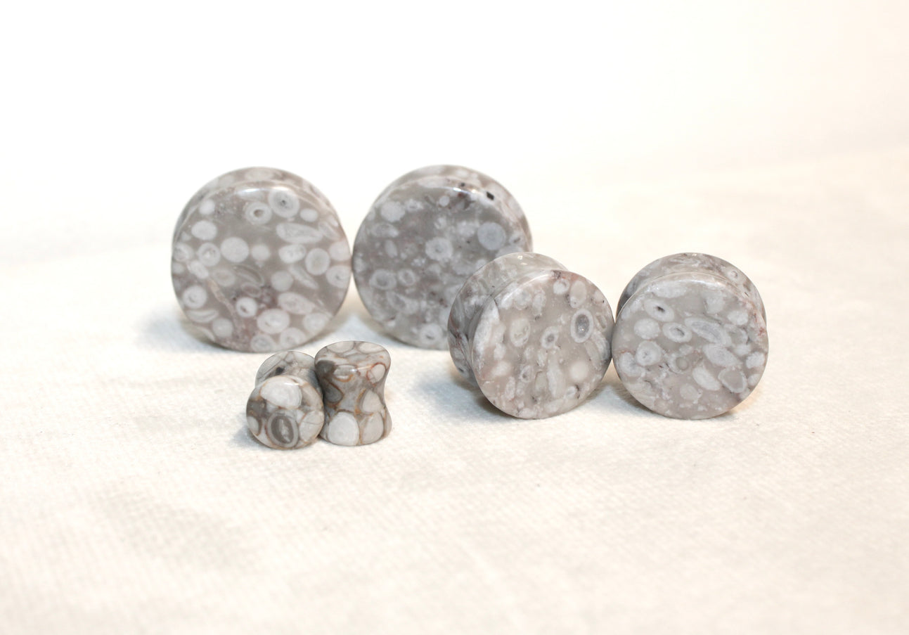 Lily Fossil Jasper Stone Double Flare Plugs Pair Natural Stone of Gauges