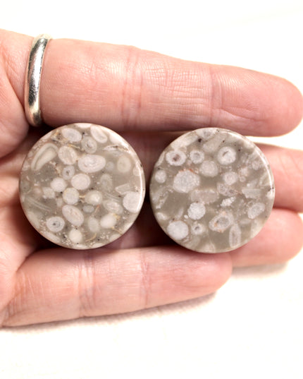 Lily Fossil Jasper Stone Double Flare Plugs Pair Natural Stone of Gauges