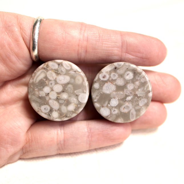 Lily Fossil Jasper Stone Double Flare Plugs Pair Natural Stone of Gauges