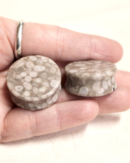 Lily Fossil Jasper Stone Double Flare Plugs Pair Natural Stone of Gauges