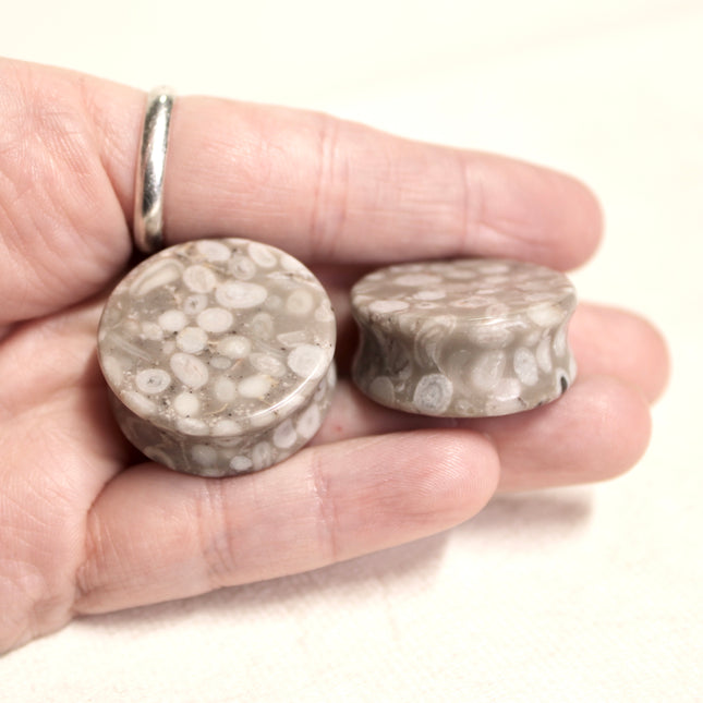 Lily Fossil Jasper Stone Double Flare Plugs Pair Natural Stone of Gauges