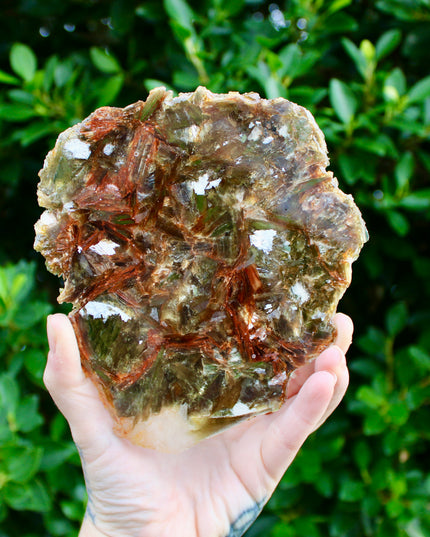 Golden Mica Quartz Muscovite Slab – Natural Polished Stone Slice with Sparkling Mica Layers, You Pick Your Exact Slab