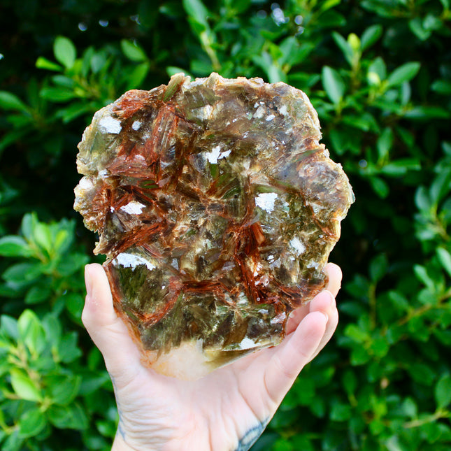 Golden Mica Quartz Muscovite Slab – Natural Polished Stone Slice with Sparkling Mica Layers, You Pick Your Exact Slab