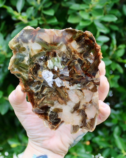 Golden Mica Quartz Muscovite Slab – Natural Polished Stone Slice with Sparkling Mica Layers, You Pick Your Exact Slab