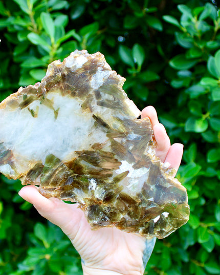 Golden Mica Quartz Muscovite Slab – Natural Polished Stone Slice with Sparkling Mica Layers, You Pick Your Exact Slab