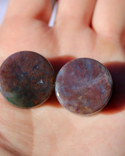 Fall Color Moss Agate Plugs – Red Moss Agate Stone Ear Plugs with Reds, Greens, and Browns – Stunning Natural Double Flare Stone Plugs
