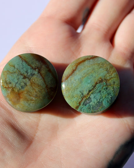 Fall Color Moss Agate Plugs – Red Moss Agate Stone Ear Plugs with Reds, Greens, and Browns – Stunning Natural Double Flare Stone Plugs