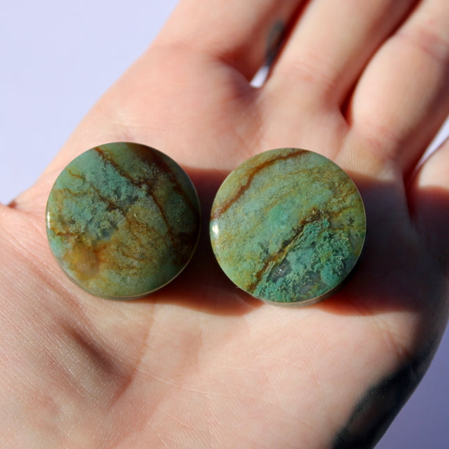 Fall Color Moss Agate Plugs – Red Moss Agate Stone Ear Plugs with Reds, Greens, and Browns – Stunning Natural Double Flare Stone Plugs
