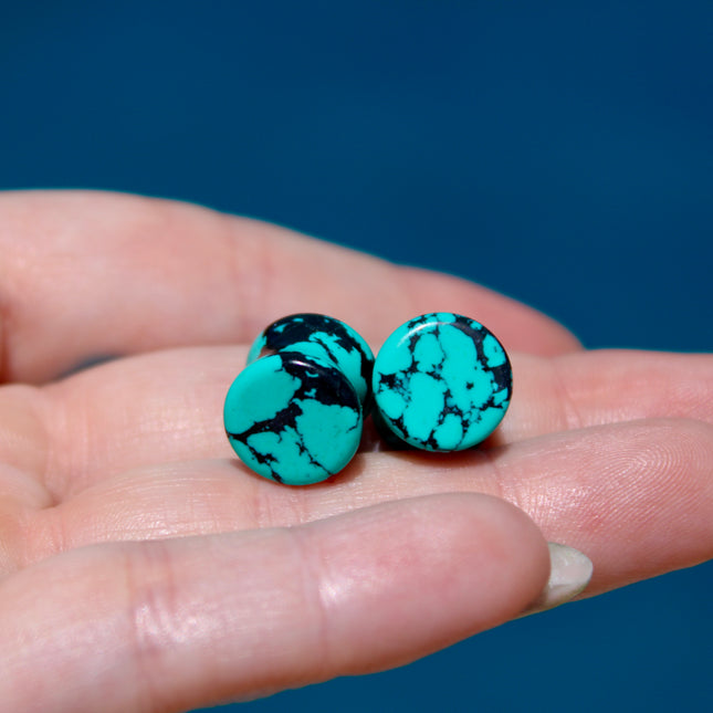 Turquoise Howlite Plugs - Gauges PAIR - Turquoise Blue and Black Gauges Marbled Color - EC Plugs