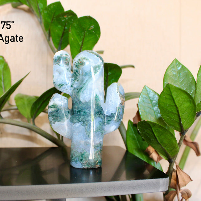 Green Stone Cactus Carvings – Moss Agate, Prehnite, and Serpentine Polished Stone Cactus Sculptures, You Pick Your Exact Carving