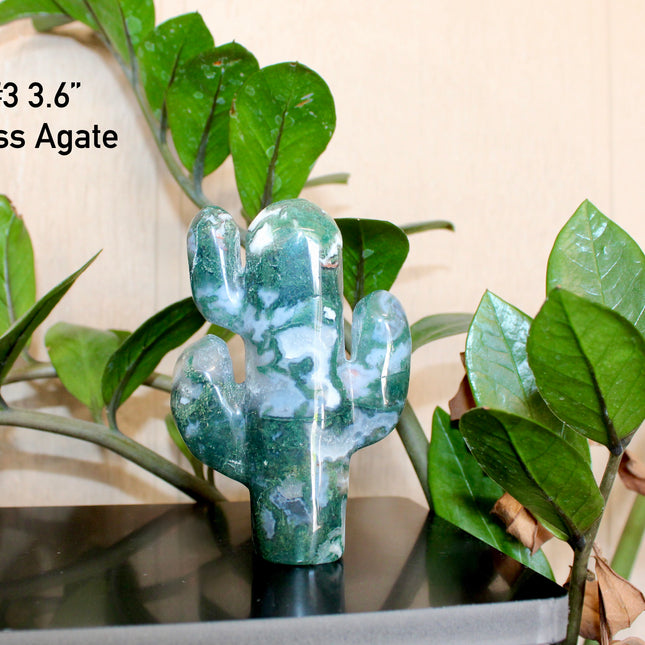 Green Stone Cactus Carvings – Moss Agate, Prehnite, and Serpentine Polished Stone Cactus Sculptures, You Pick Your Exact Carving