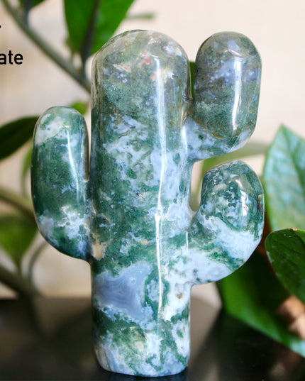 Green Stone Cactus Carvings – Moss Agate, Prehnite, and Serpentine Polished Stone Cactus Sculptures, You Pick Your Exact Carving