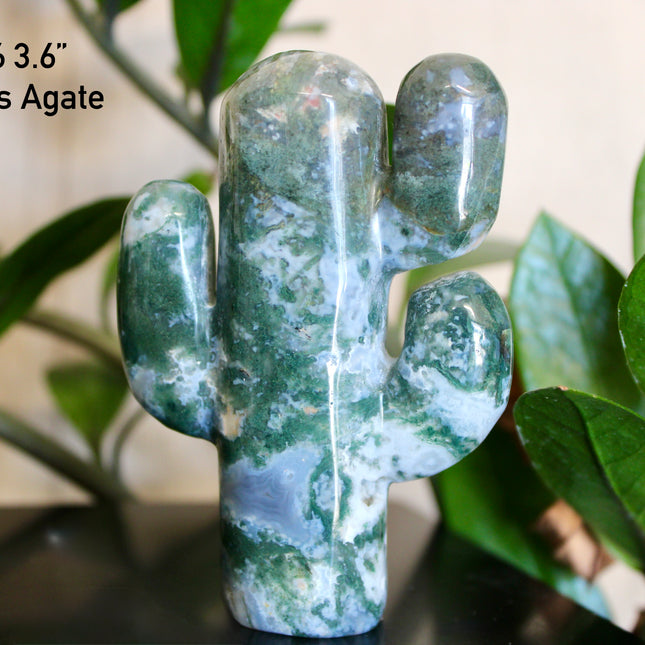 Green Stone Cactus Carvings – Moss Agate, Prehnite, and Serpentine Polished Stone Cactus Sculptures, You Pick Your Exact Carving