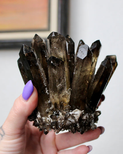 This Smoky Ghost Quartz Cluster features dramatic internal phantom layers—formations that create a “ghost-like” appearance within the smoky quartz points. With rich color and raw beauty, this specimen brings depth and character to any display or collection.