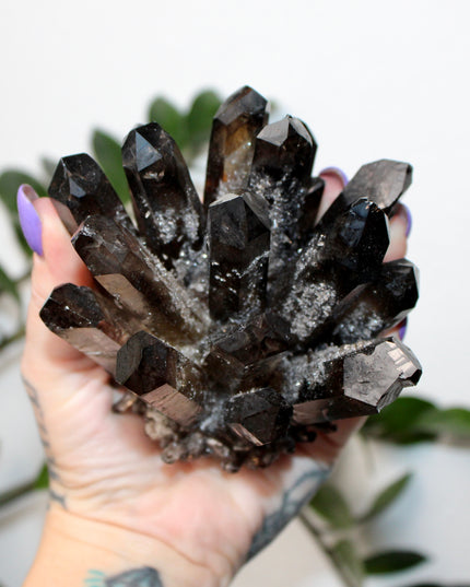 This Smoky Ghost Quartz Cluster features dramatic internal phantom layers—formations that create a “ghost-like” appearance within the smoky quartz points. With rich color and raw beauty, this specimen brings depth and character to any display or collection.