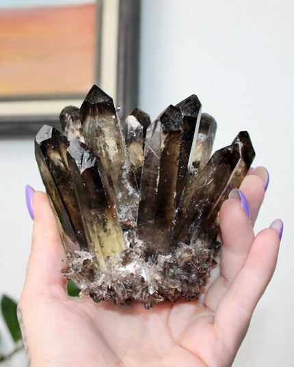 This Smoky Ghost Quartz Cluster features dramatic internal phantom layers—formations that create a “ghost-like” appearance within the smoky quartz points. With rich color and raw beauty, this specimen brings depth and character to any display or collection.