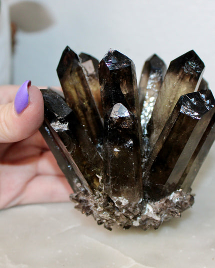 This Smoky Ghost Quartz Cluster features dramatic internal phantom layers—formations that create a “ghost-like” appearance within the smoky quartz points. With rich color and raw beauty, this specimen brings depth and character to any display or collection.