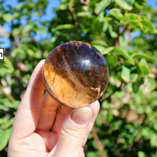Garden Quartz Spheres – Natural Lodolite Crystal Balls with Inclusions, Polished Stone Spheres for Display, You Pick Your Exact Piece