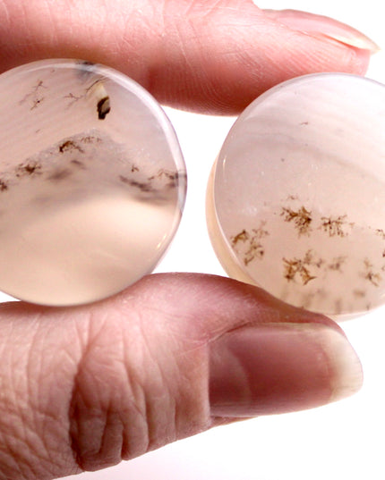Dendritic Agate Double Flare Stone Plugs – Rare Natural Agate Gauges - Pick Your Pair