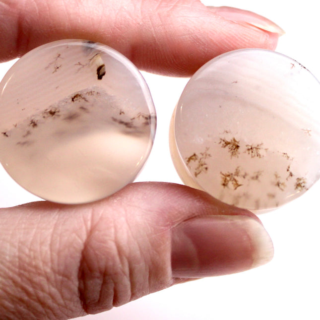 Dendritic Agate Double Flare Stone Plugs – Rare Natural Agate Gauges - Pick Your Pair
