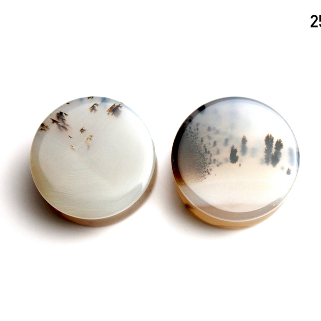 Dendritic Agate Double Flare Stone Plugs – Rare Natural Agate Gauges - Pick Your Pair