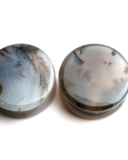 Dendritic Agate Double Flare Stone Plugs – Rare Natural Agate Gauges - Pick Your Pair